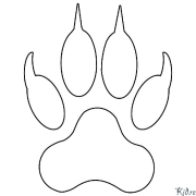 coyote Coloring Pages To Print